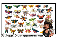 Load image into Gallery viewer, VINTAGE MOTHS
