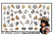 Load image into Gallery viewer, Sea Shells