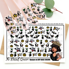 Load image into Gallery viewer, CATS & BATS