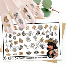 Load image into Gallery viewer, Sea Shells