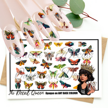 Load image into Gallery viewer, VINTAGE MOTHS