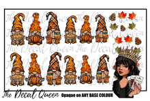 Load image into Gallery viewer, Autumn Gonks