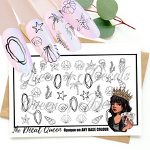 Load image into Gallery viewer, Sea Shells OUTLINE