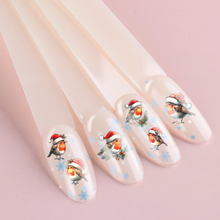 Load image into Gallery viewer, CHRISTMAS ROBINS