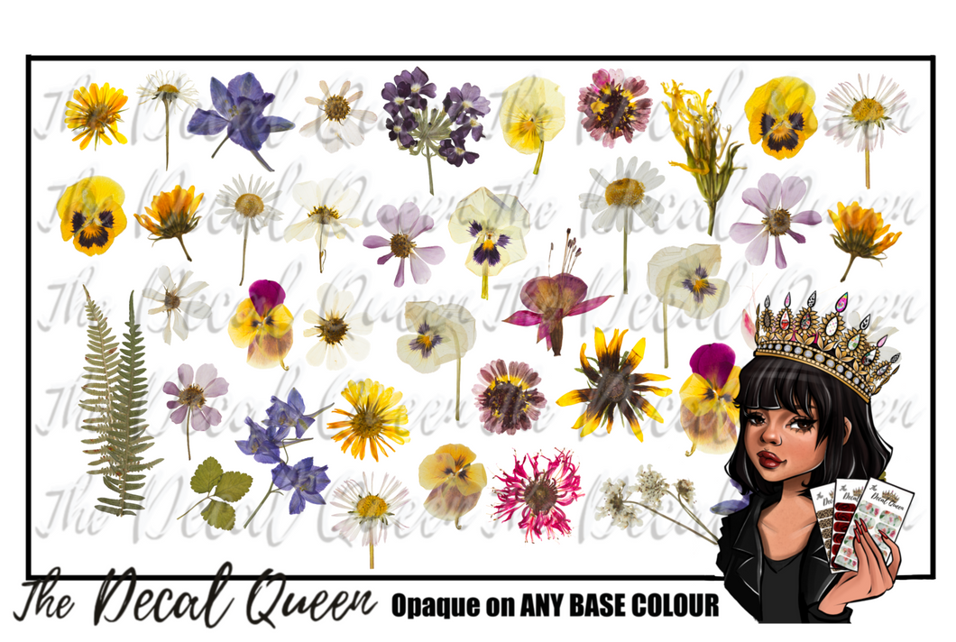 PRESSED FLOWERS